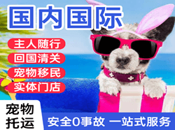 大理凤仪航空物流国际宠物托运 【国
